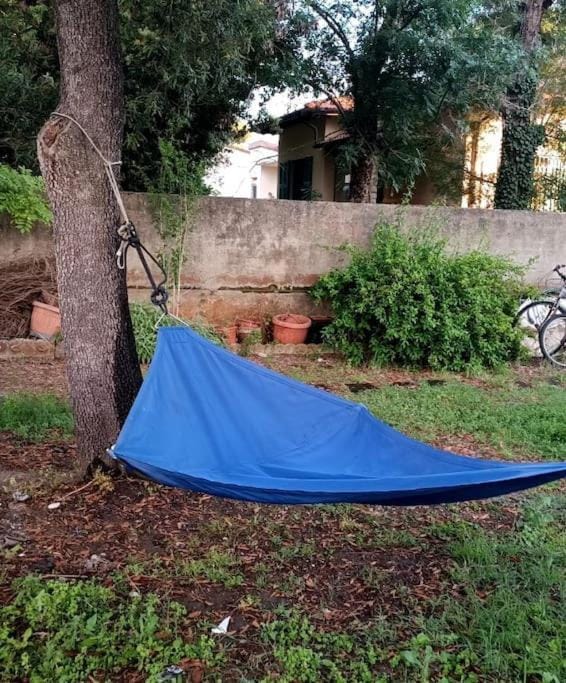 Garden, Garden, Garden view