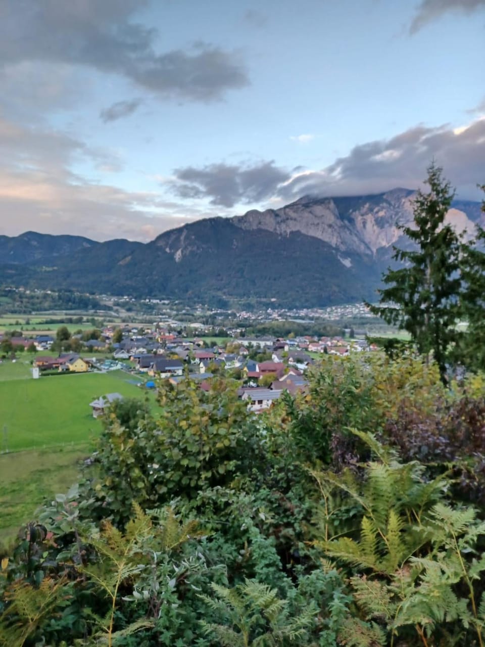 Ferienwohnung Gänseblümchen Apartment in Friuli-Venezia Giulia
