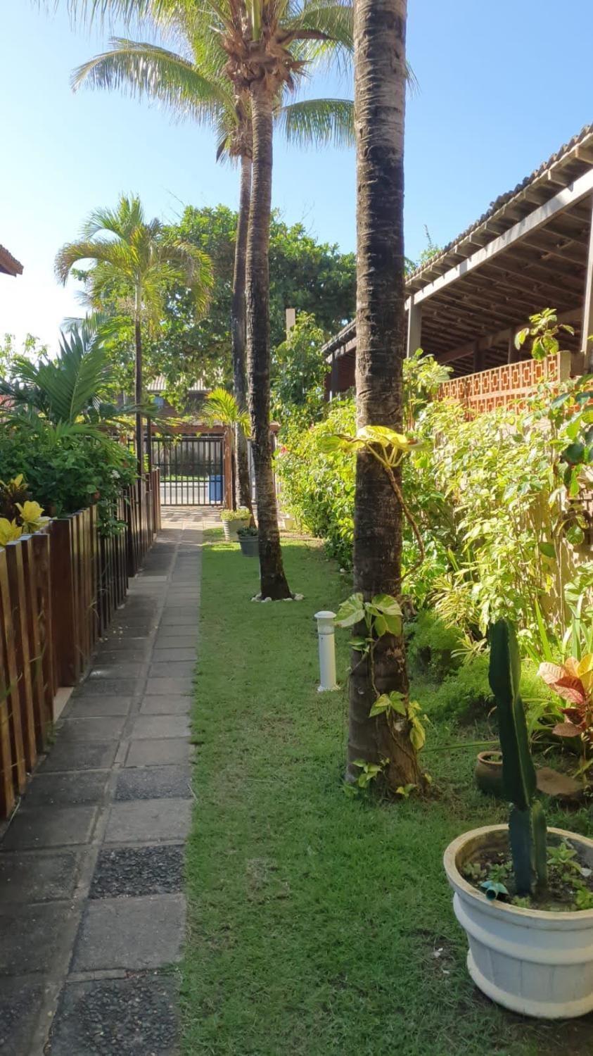 Day, Garden, Garden view