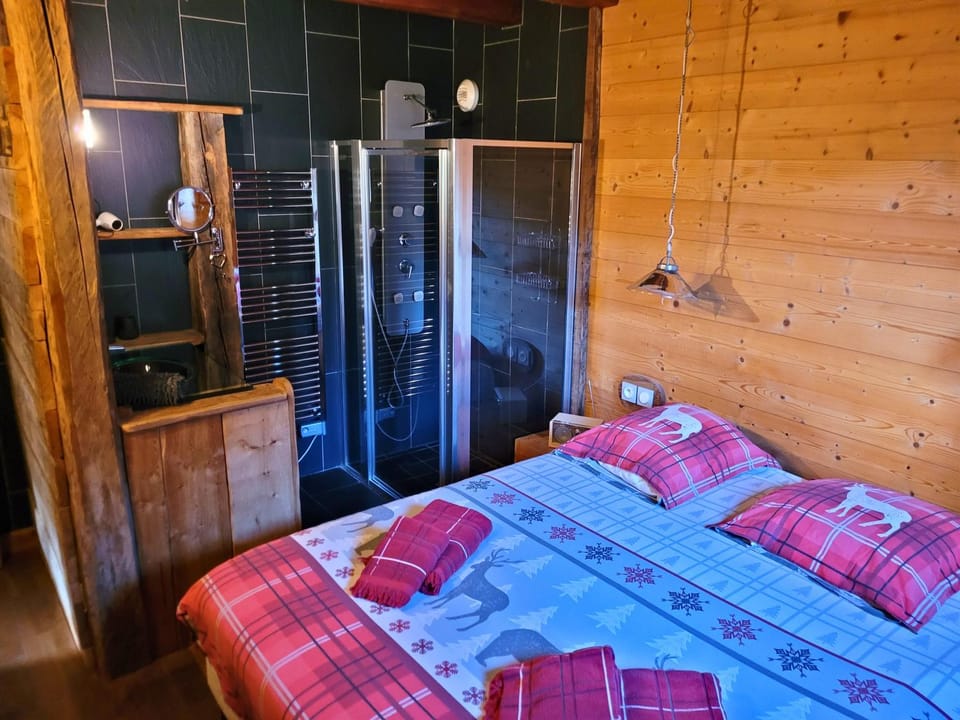 Shower, Bed, TV and multimedia, Photo of the whole room, Bedroom, hair dryier, internet, wardrobe