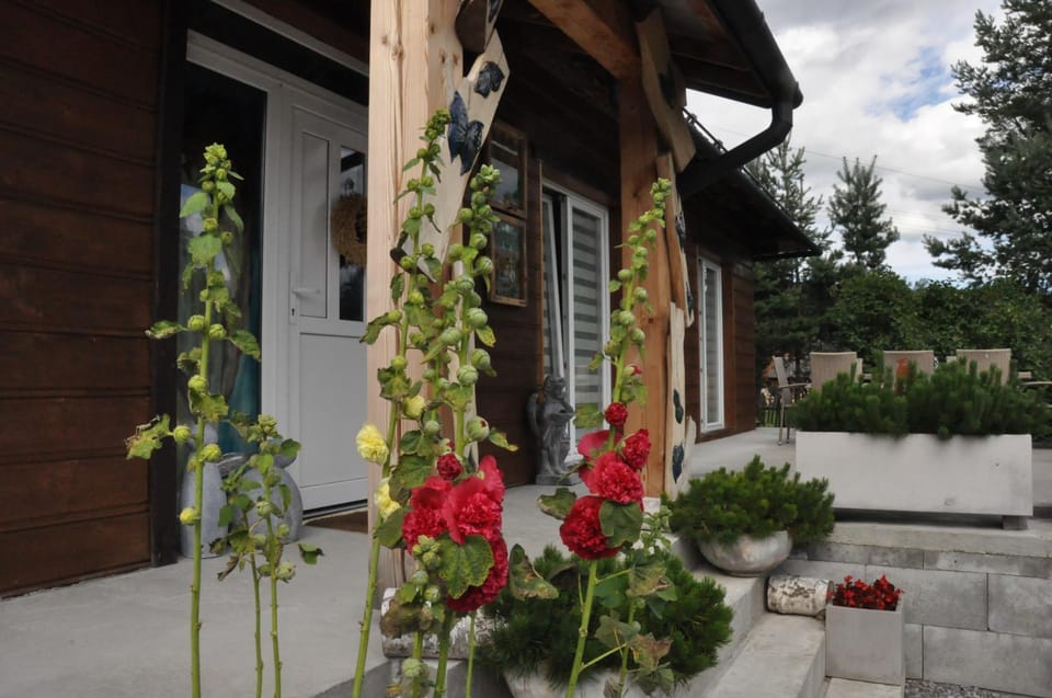 Property building, Garden, Garden view