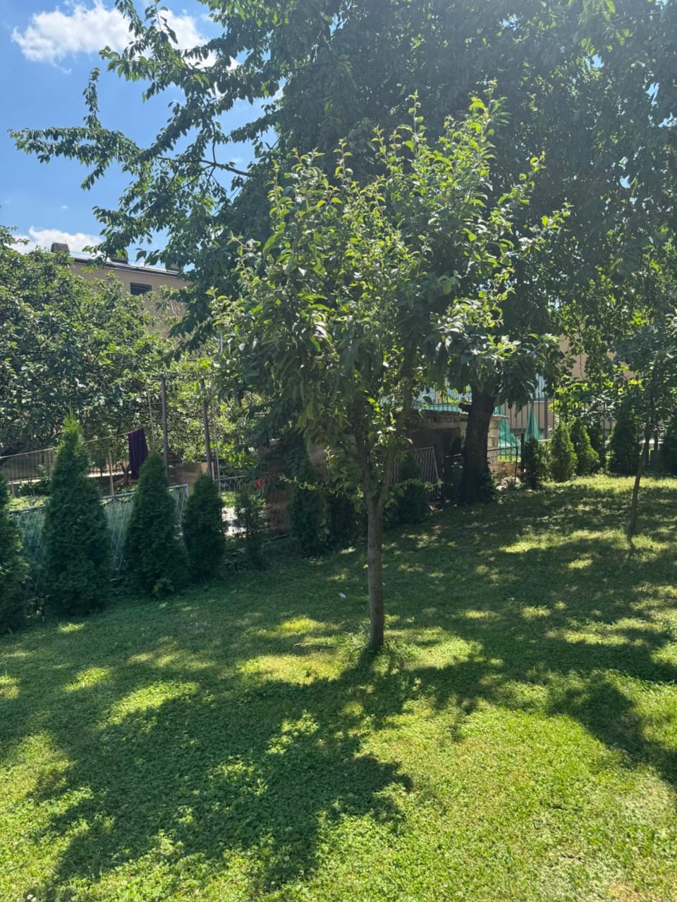 Spring, Garden, Garden view