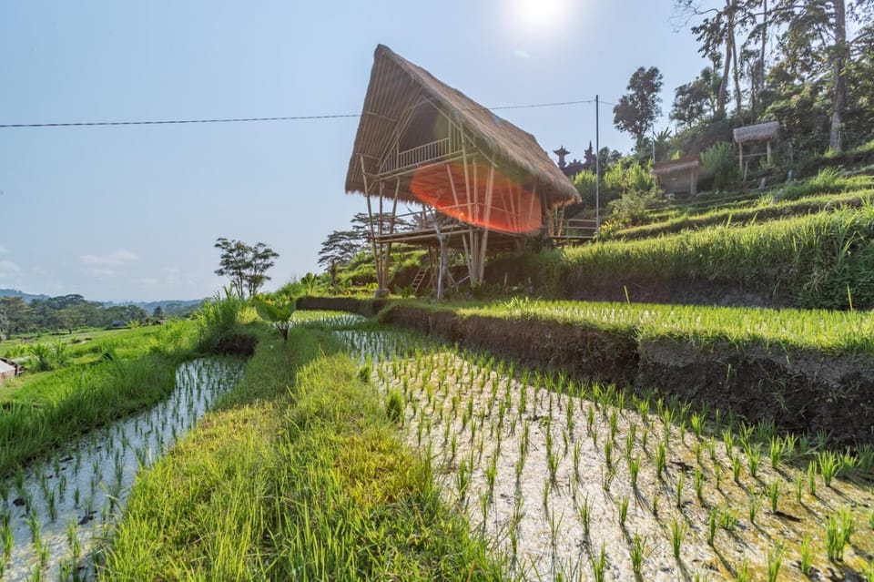 Natural landscape