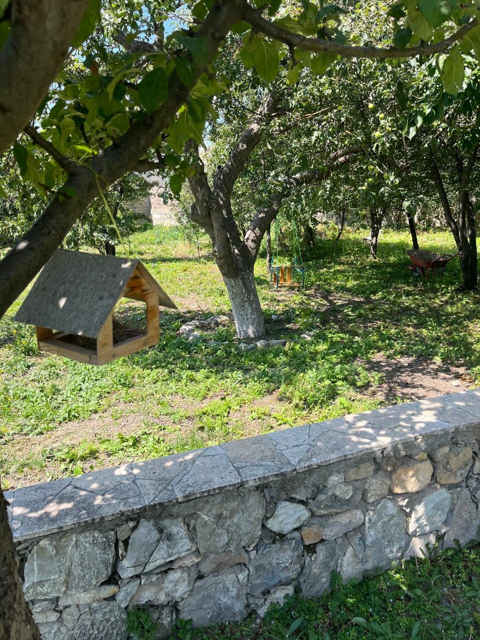 Spring, Day, Garden, Garden view