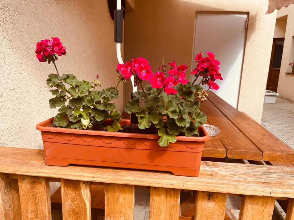 GIADDA Rooms Bed and Breakfast in Romania
