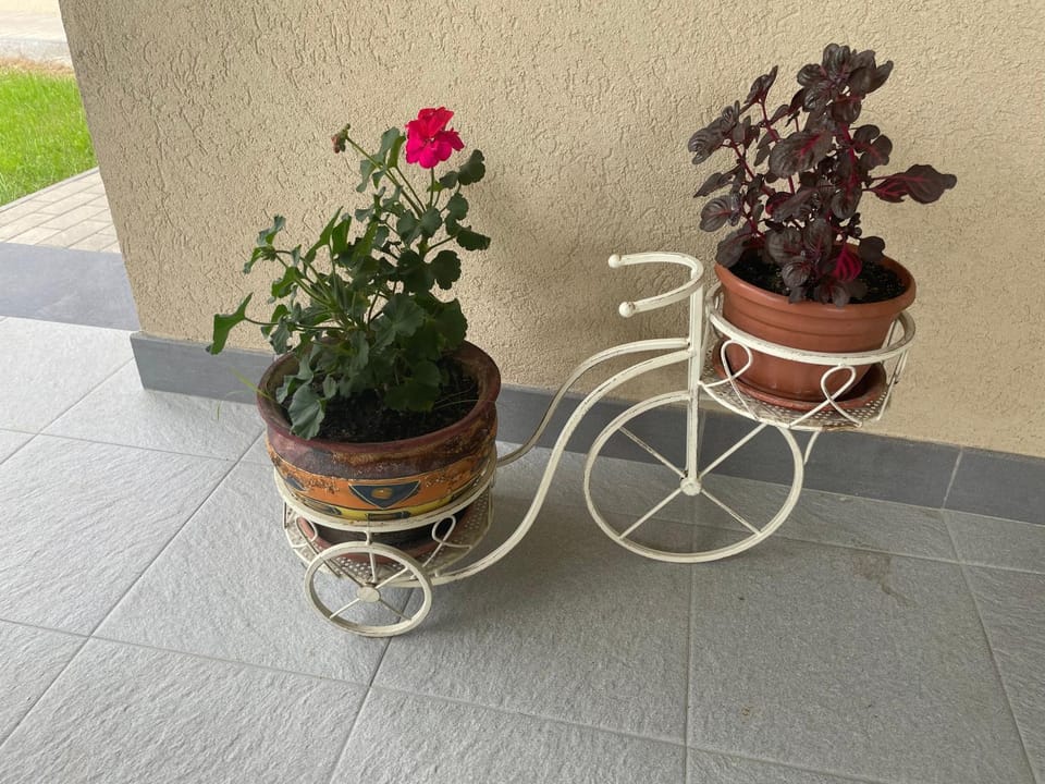 GIADDA Rooms Bed and Breakfast in Romania