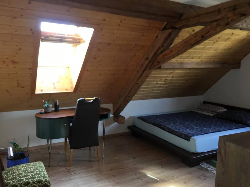 Guesthouse ''Chatonnaye'' Apartment in Fribourg, Switzerland