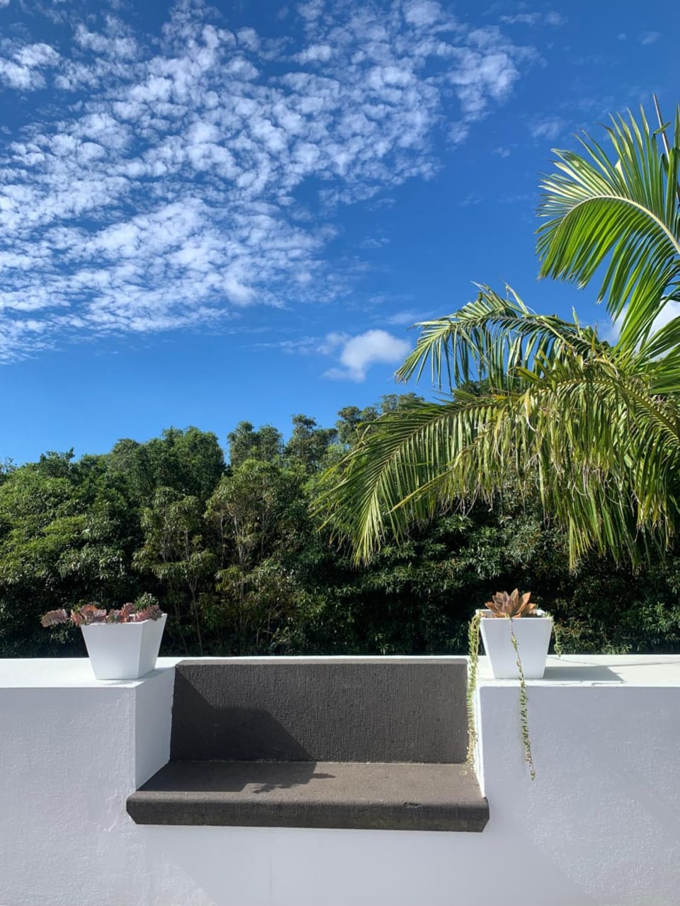 Quinta de Santo António Villa in Azores District
