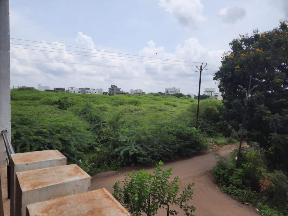 Natural landscape