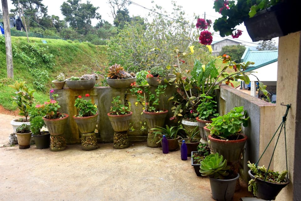 Pedro Resort & Bungalow Nuwara Eliya Bed and Breakfast in Nuwara Eliya