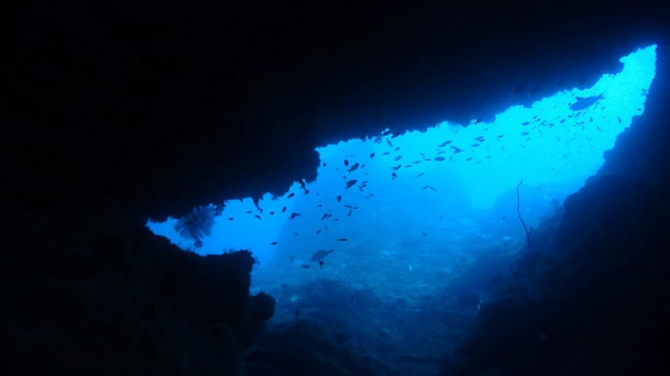 Diving