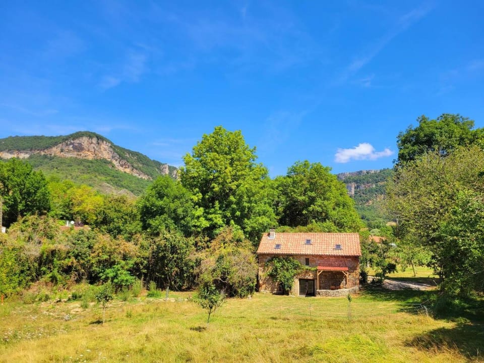 Property building, Garden, Garden view