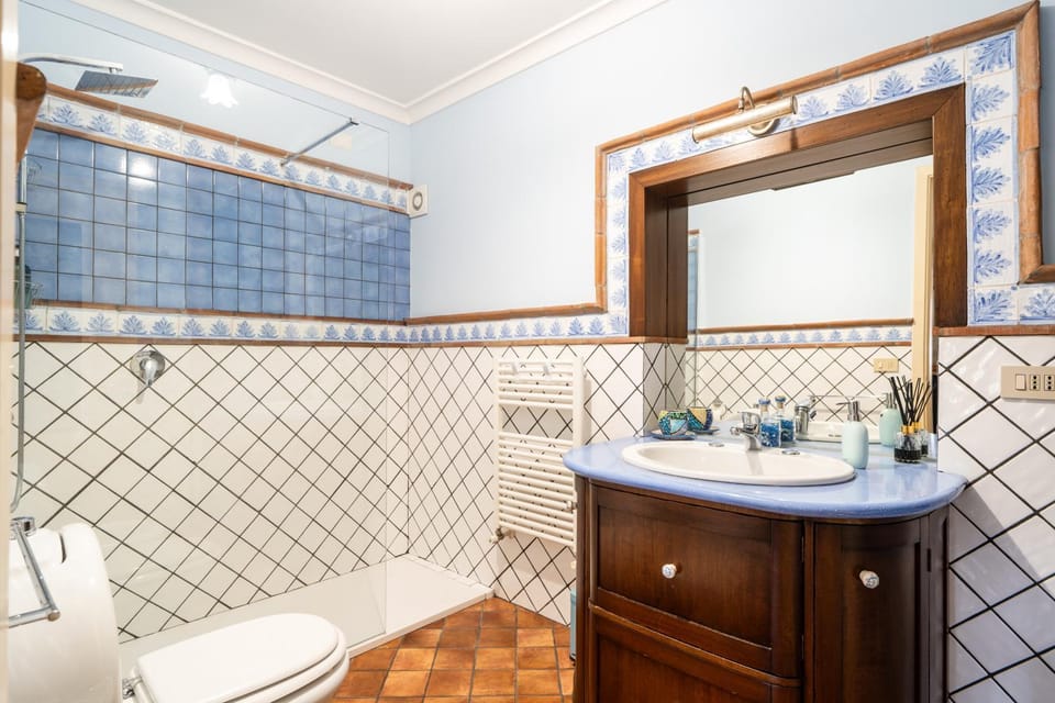 Shower, Toilet, Bathroom, Photo of the whole room, Decorative detail, bidet, heating