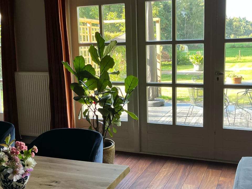 View (from property/room), Dining area