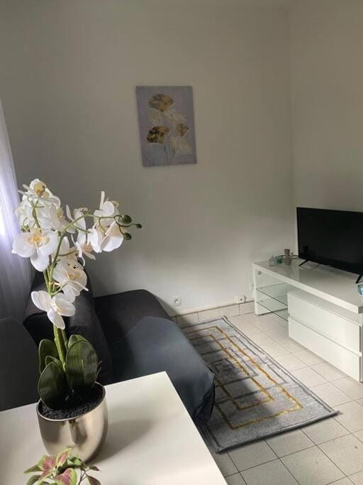 Appartement cosy 15 min d'Orly Apartment in Île-de-France