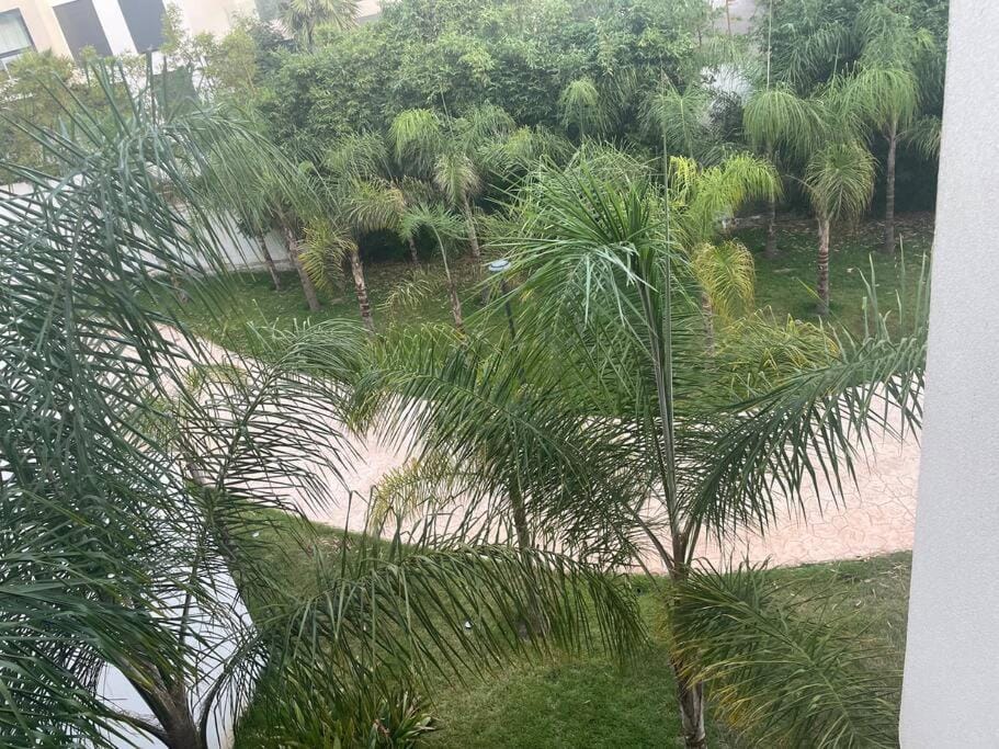 Natural landscape, Garden view