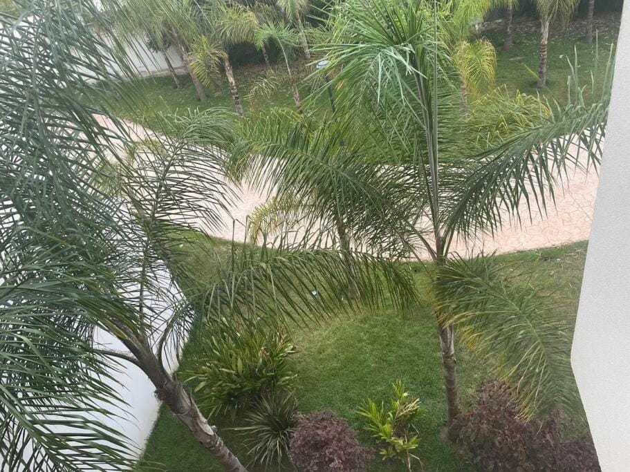 Natural landscape, Garden view