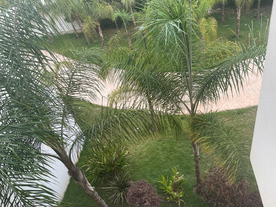 Garden, Balcony/Terrace