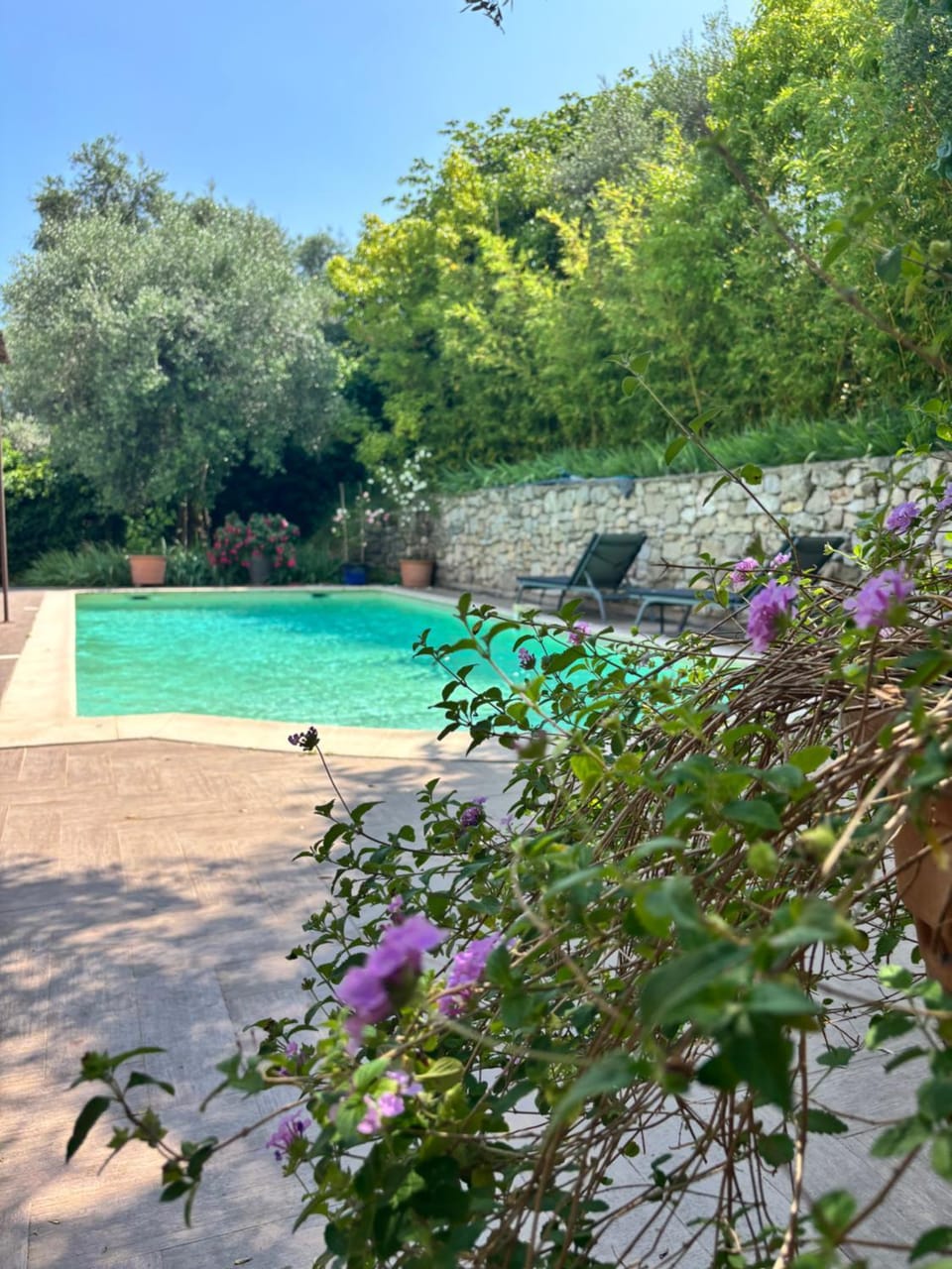 Garden, Swimming pool