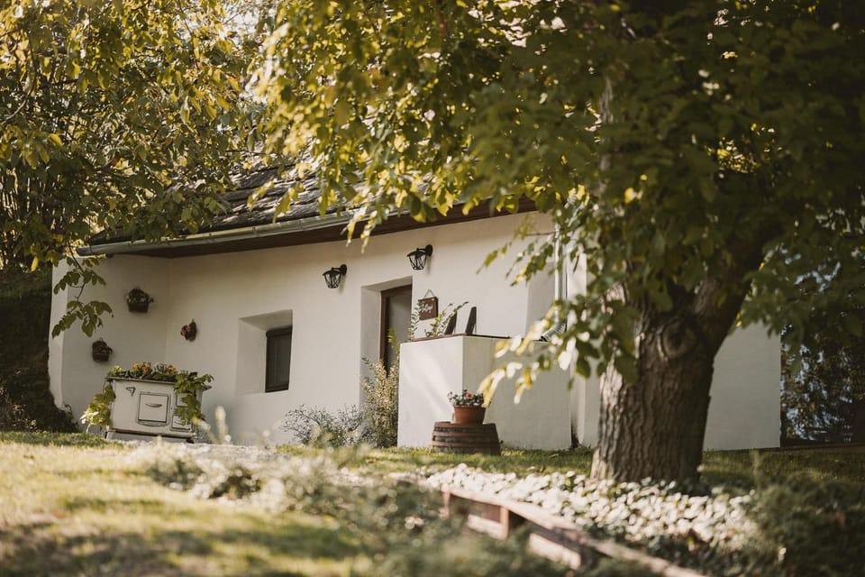 Property building, Spring, Day, Natural landscape, Garden, Garden view