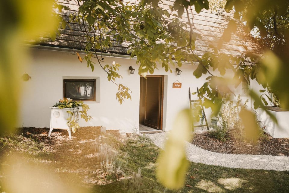 Property building, Spring, Day, Garden, Garden view
