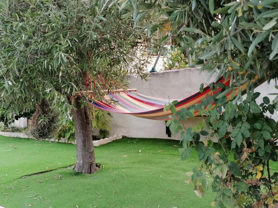 Ecological villa House in Serra de Tramuntana