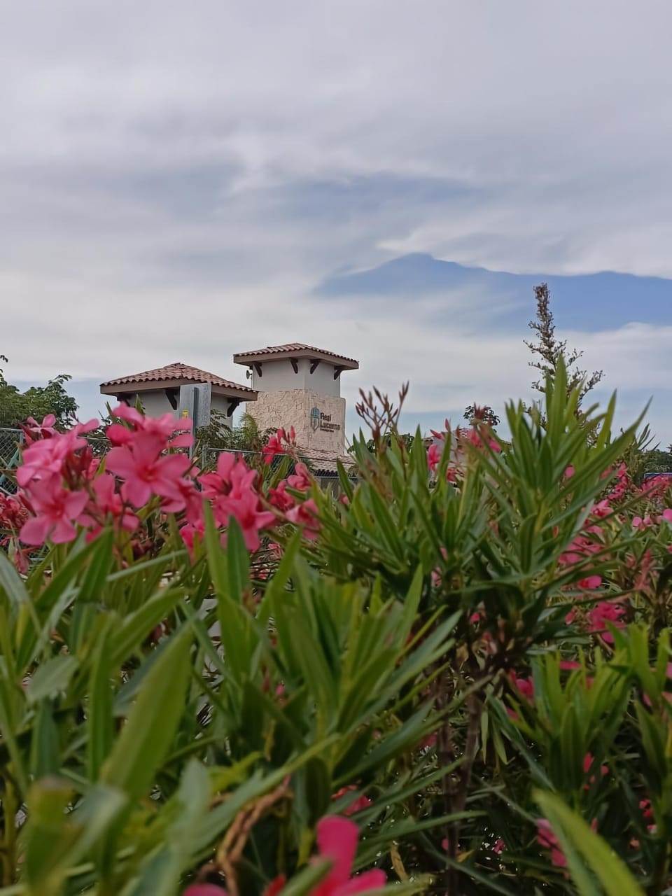 Day, Natural landscape
