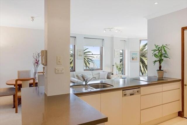 Cremorne Point paradise - Views of opera house CP302 Apartment in Sydney