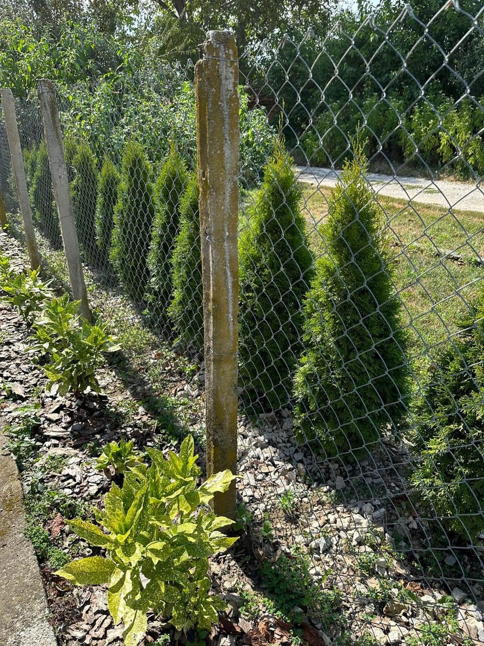Garden, Garden, Garden view