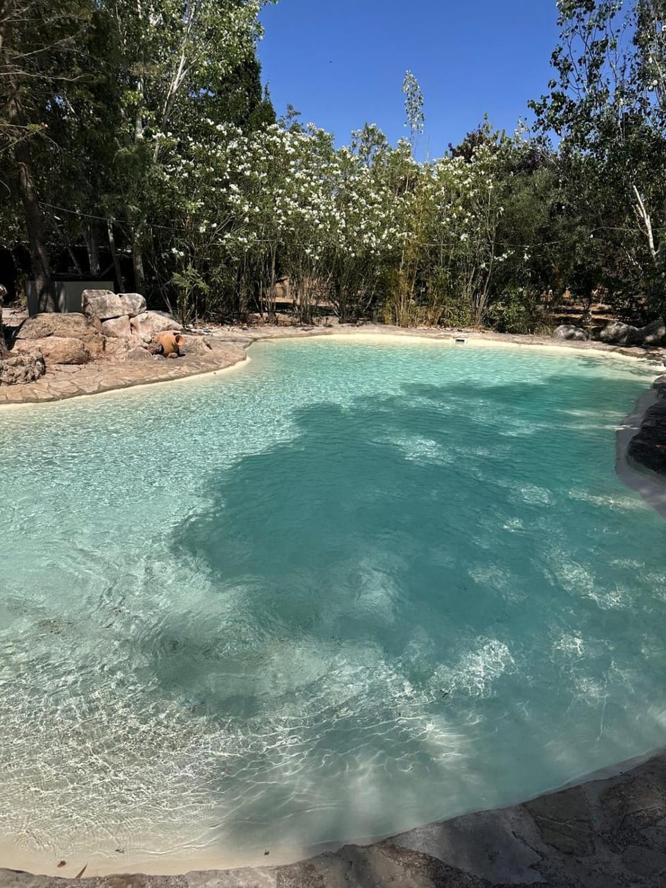 Swimming pool, Swimming pool