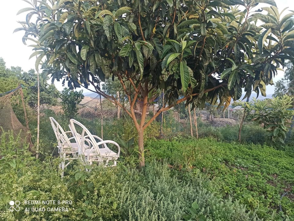 The Endless Enigma Country House in Tangier-Tétouan-Al Hoceima