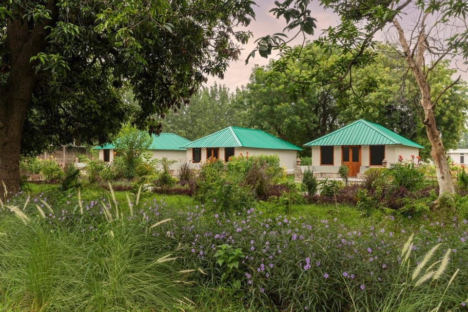 Property building, Garden view