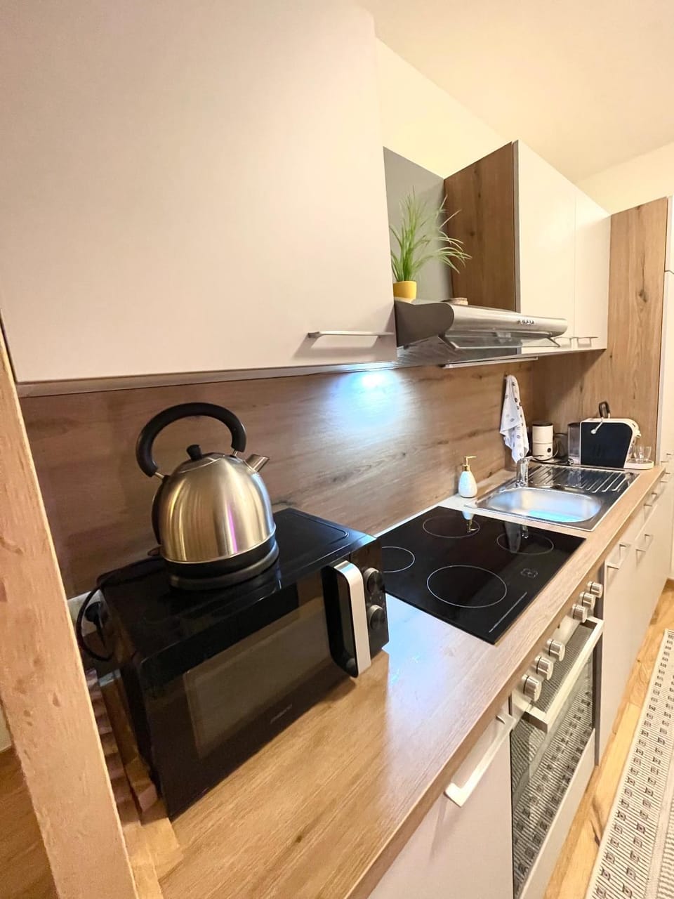 Coffee/tea facilities, Kitchen or kitchenette, minibar, pet friendly, stove