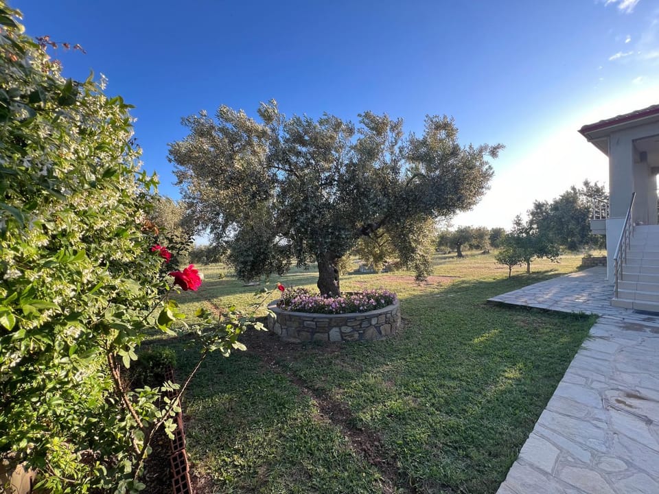 Villa Giannoula Villa in Halkidiki