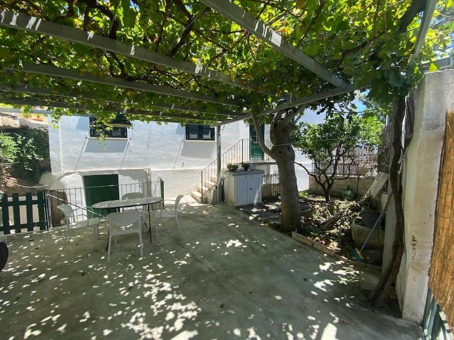Magi - Limone Apartment in Ponza