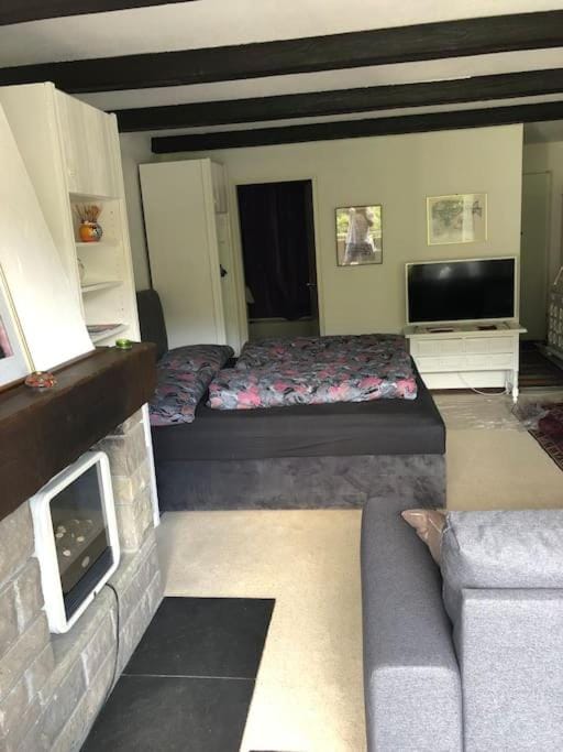 Bed, Living room, Photo of the whole room, Evening entertainment, Bedroom