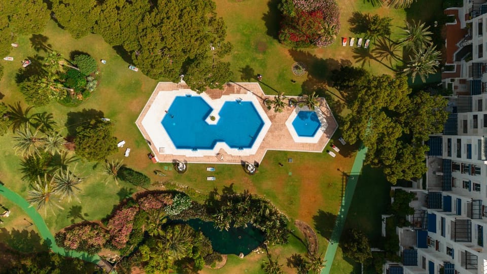 Day, Bird's eye view, Garden, Swimming pool, sunbed