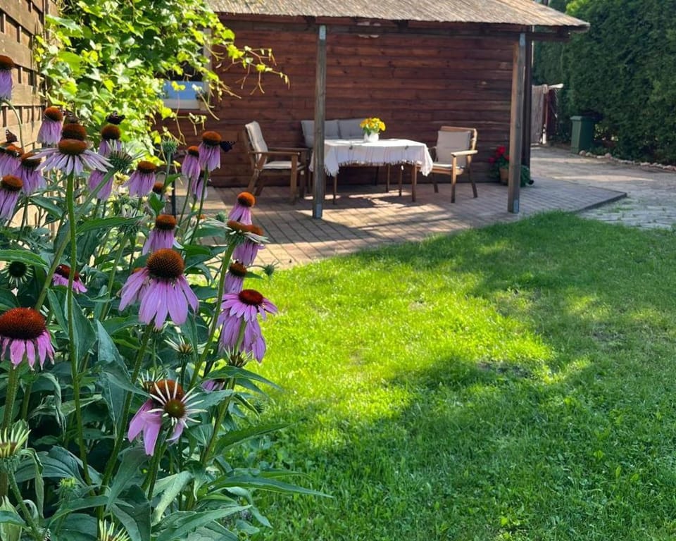 Patio, Garden, Garden view