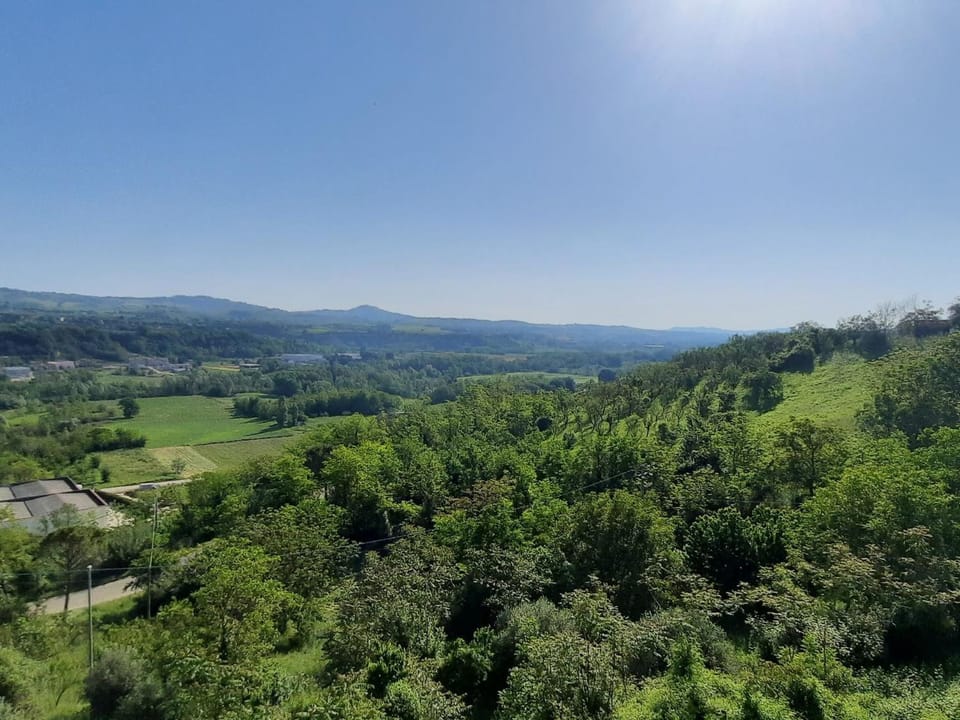 View (from property/room)