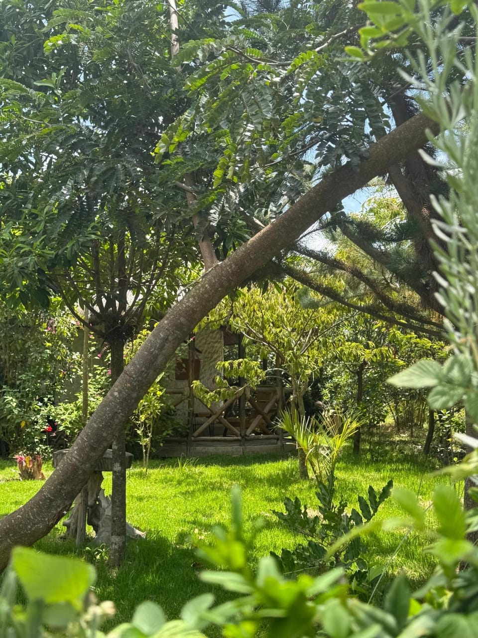 Podocarpus cottages Nature lodge in Kenya