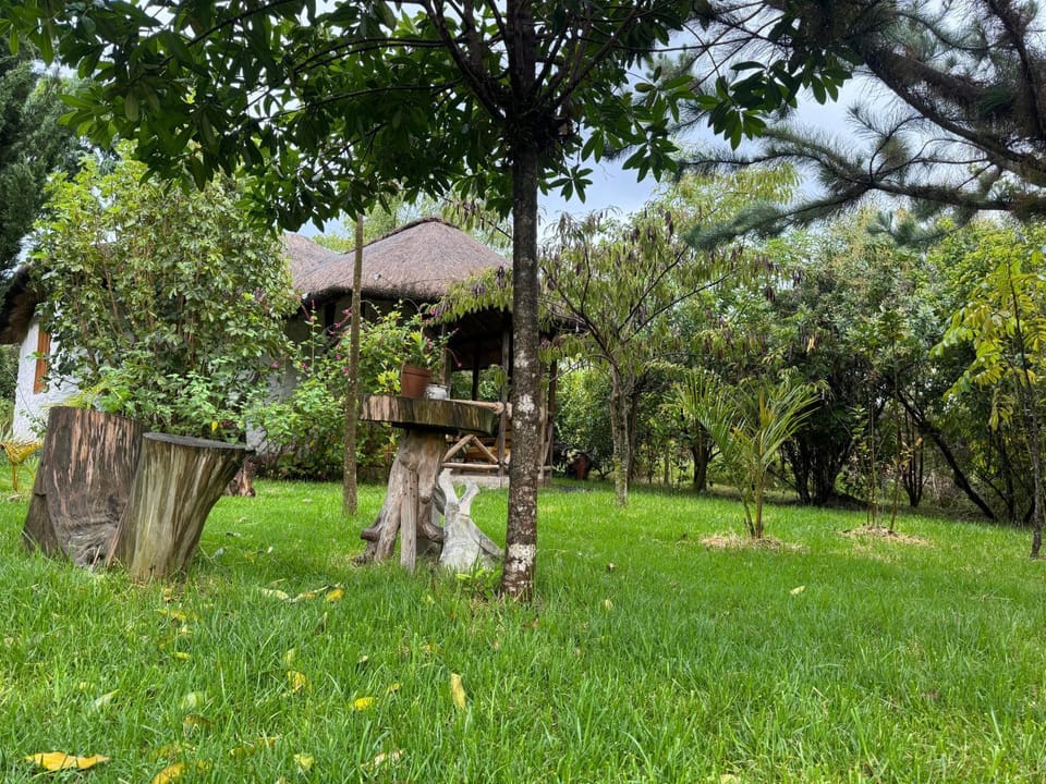 Podocarpus cottages Nature lodge in Kenya