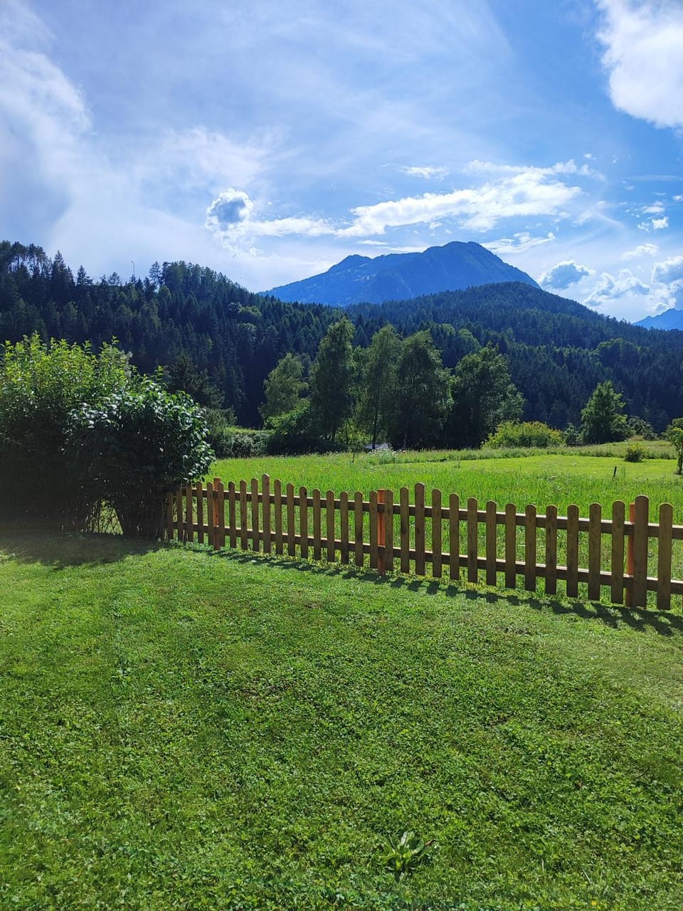 Day, Mountain view