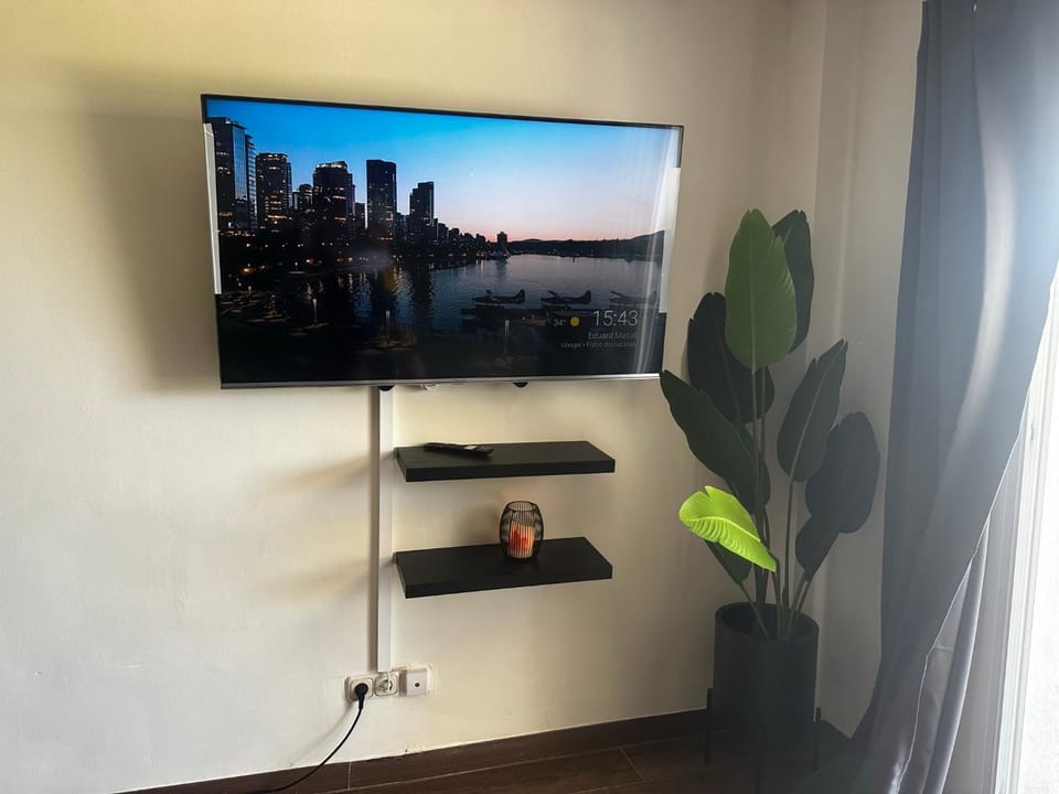 TV and multimedia