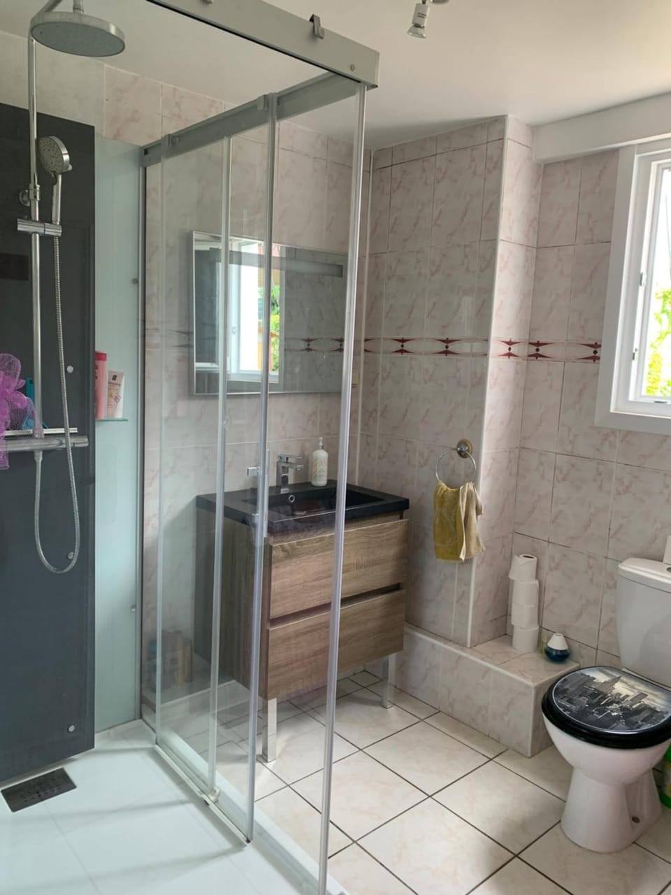 T2 indépendant proche OL Stadium et salle LDLC Arena Apartment in Auvergne-Rhône-Alpes