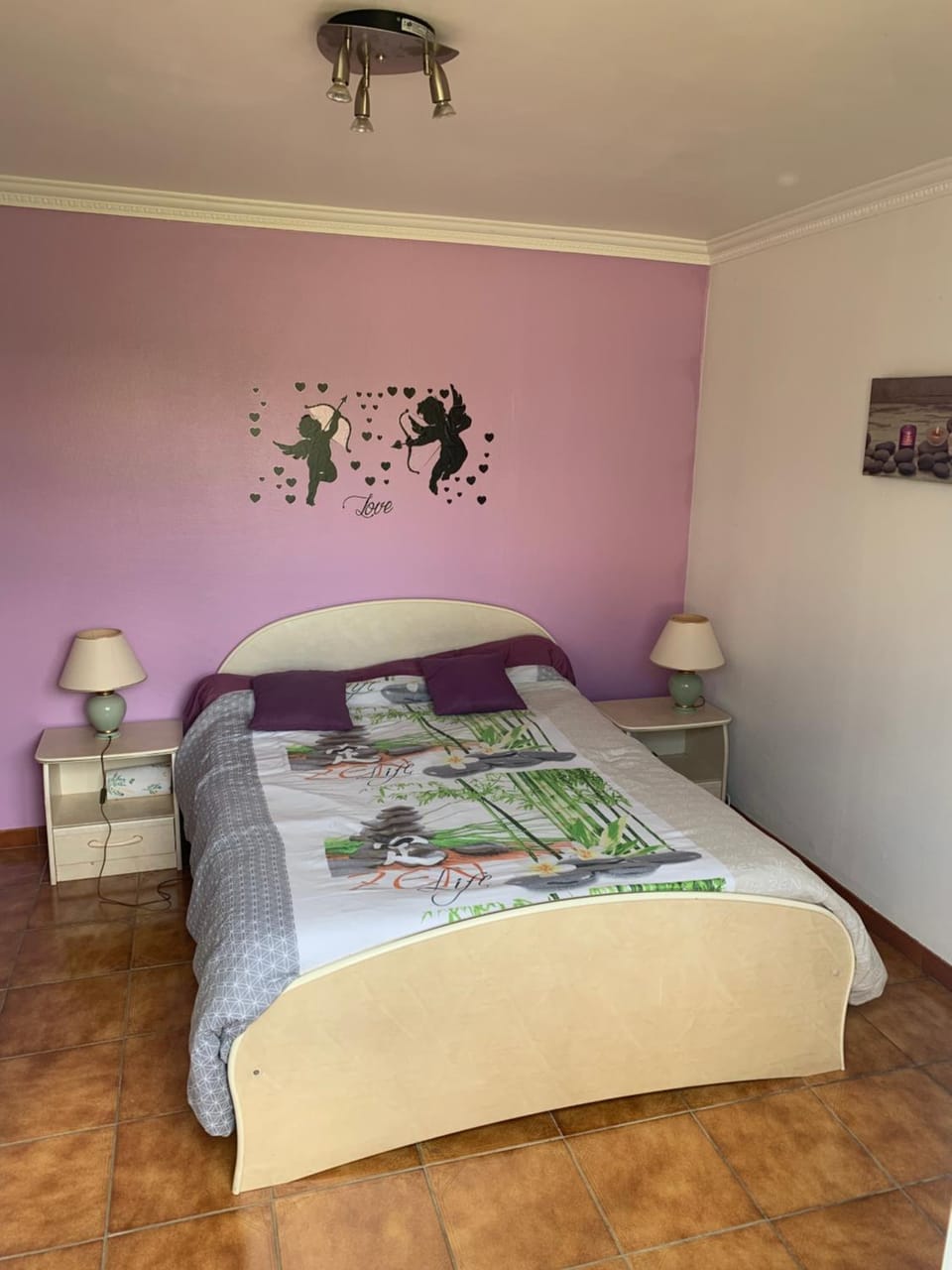T2 indépendant proche OL Stadium et salle LDLC Arena Apartment in Auvergne-Rhône-Alpes
