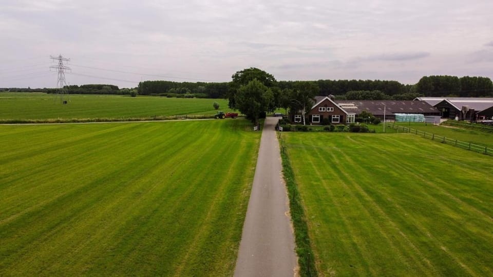 Property building, Day, Neighbourhood, Natural landscape, Summer