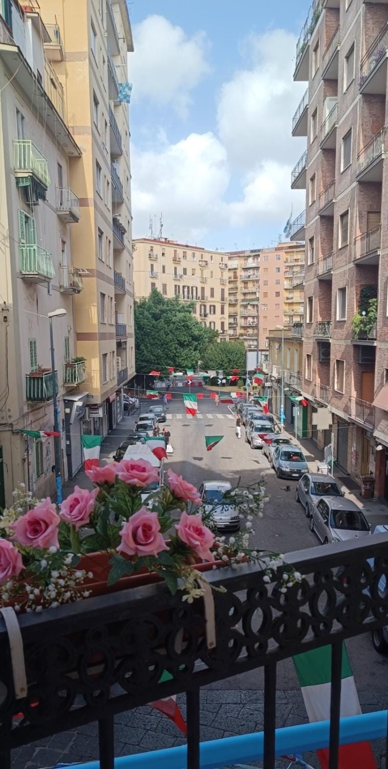 Day, Neighbourhood, City view