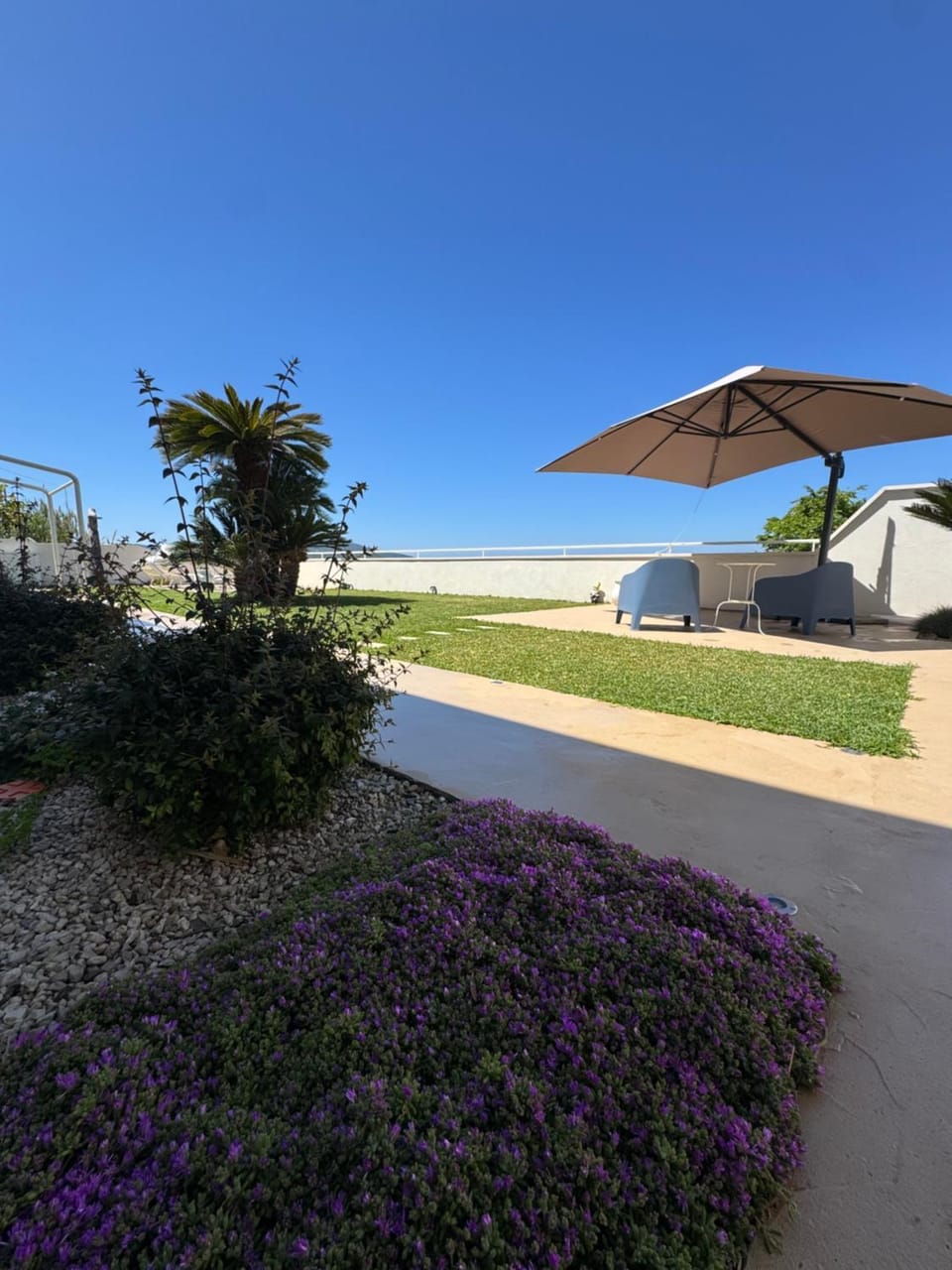 Patio, Day, Natural landscape, Garden view