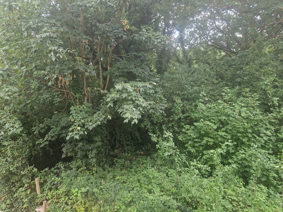 Spring, Natural landscape