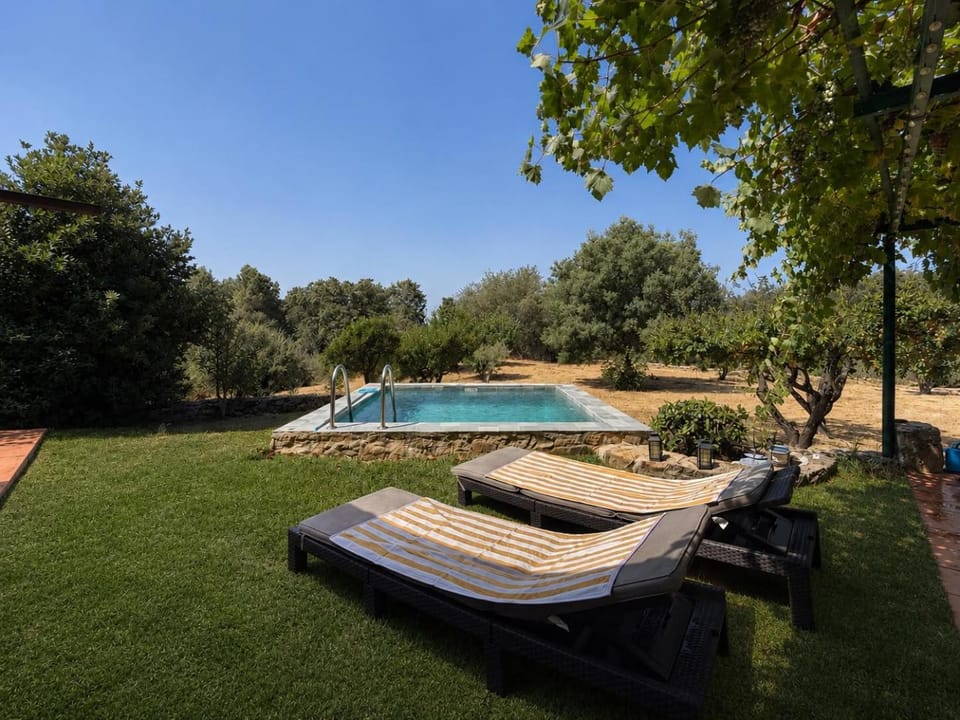 Garden, Swimming pool, sunbed